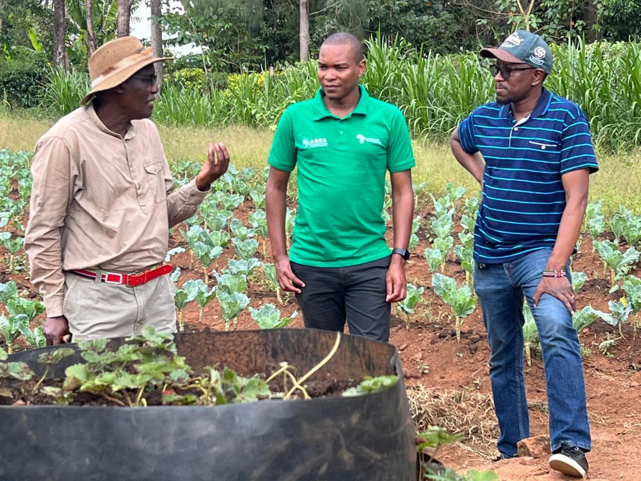 Leadership discussing farm operations