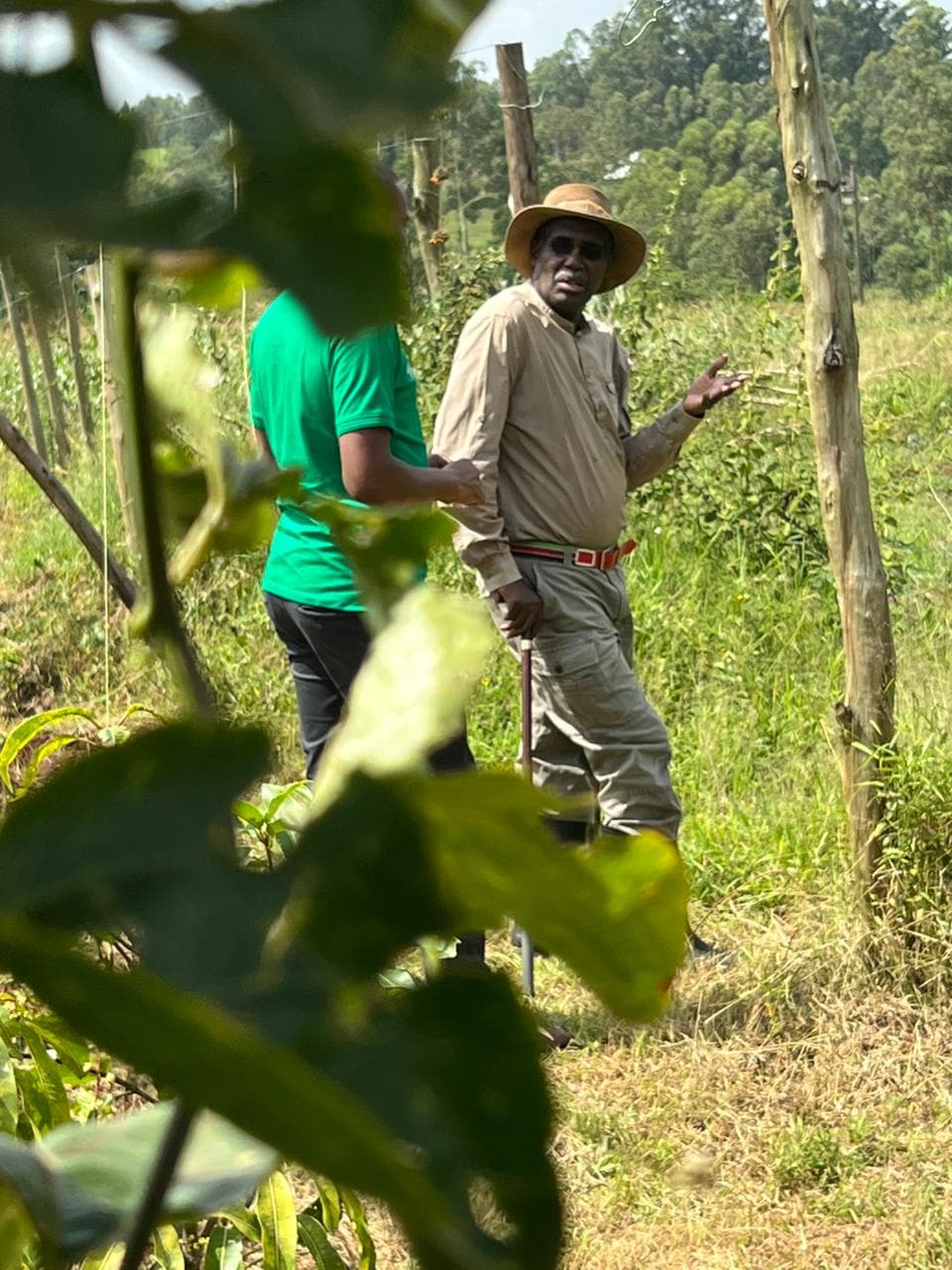 Leadership field consultation