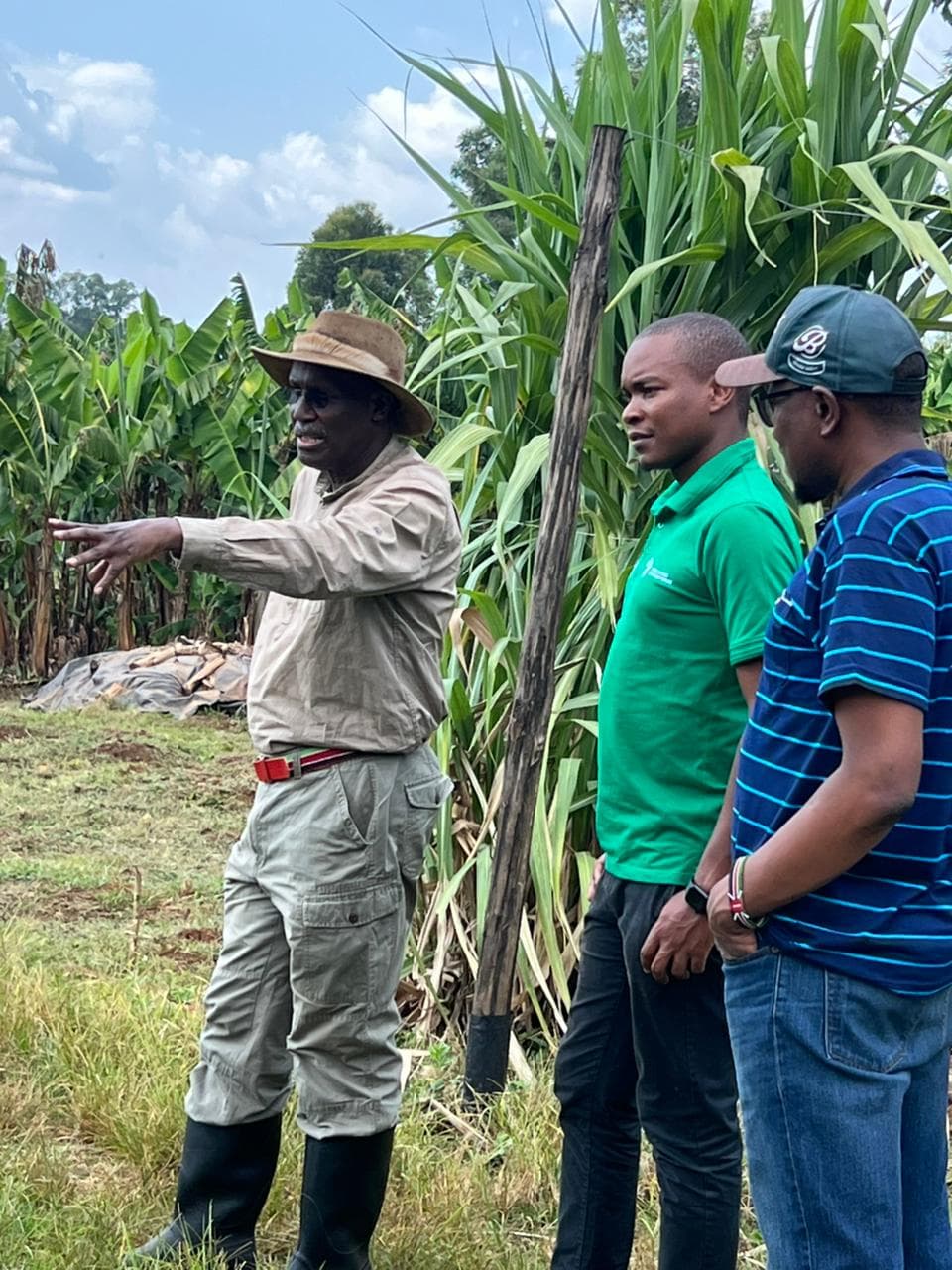 Farm consultation and field tour