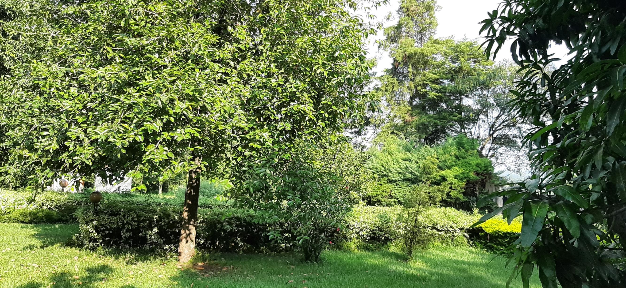 BSc. Agribusiness Management