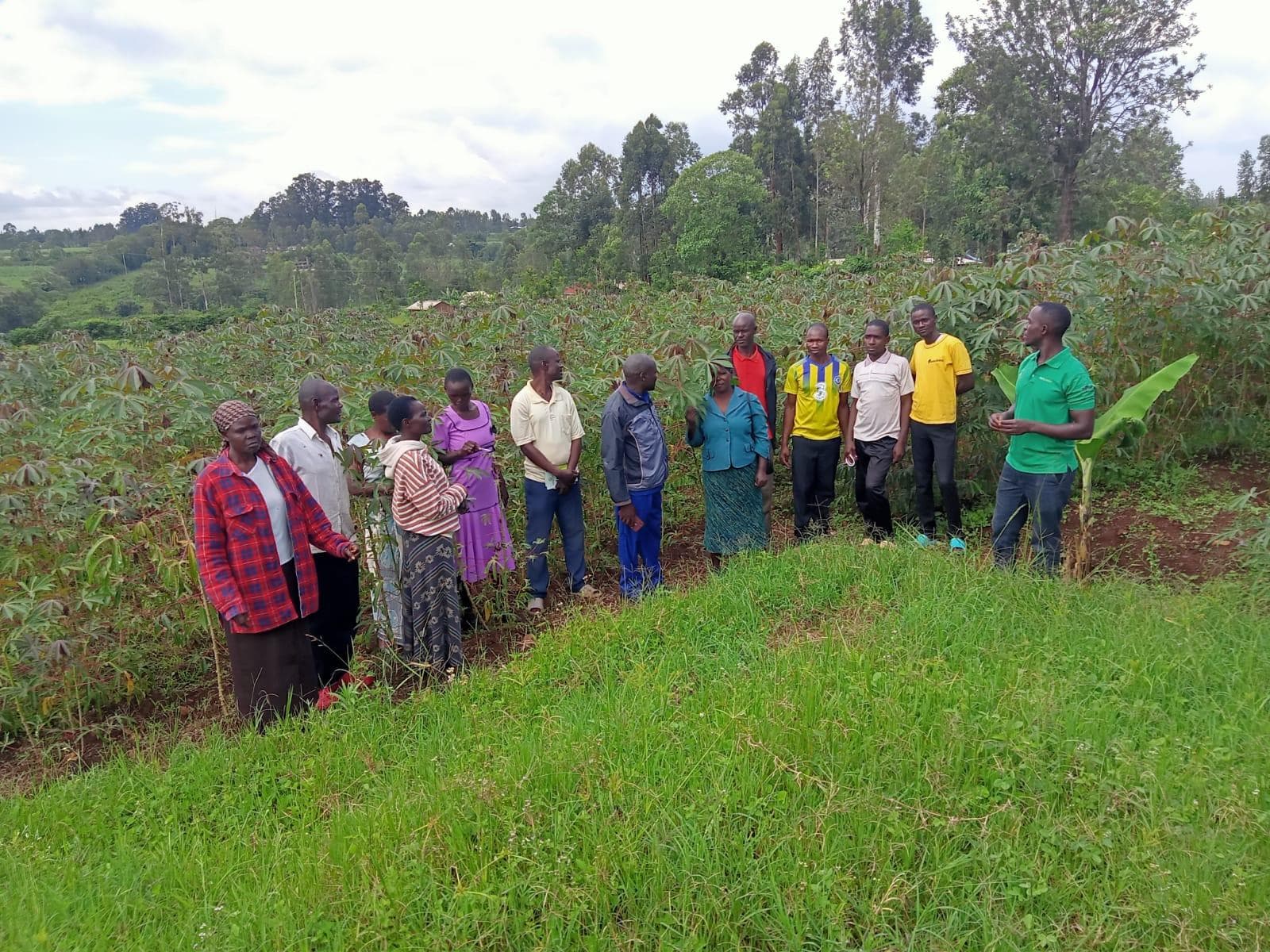 Volunteers teaching farmers