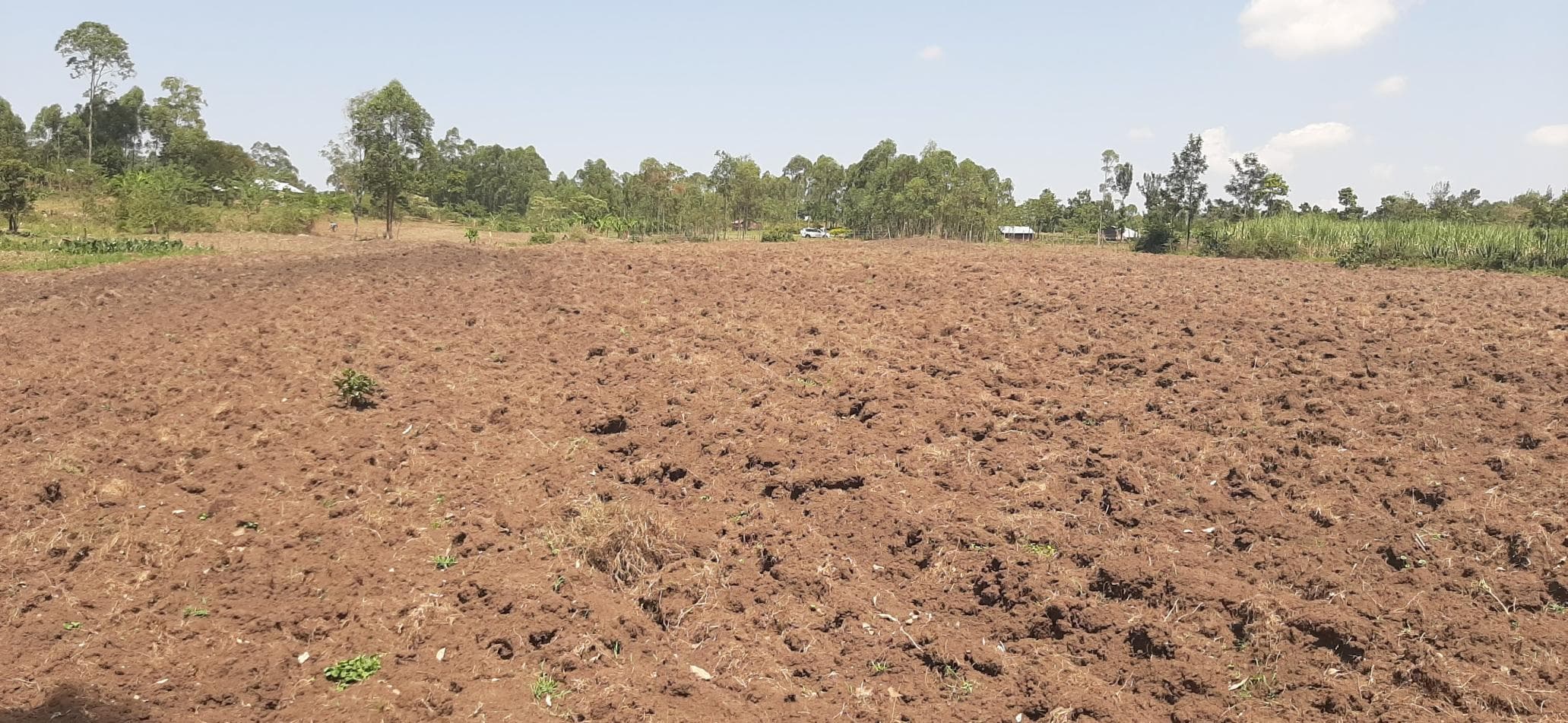 Soil Health & Management