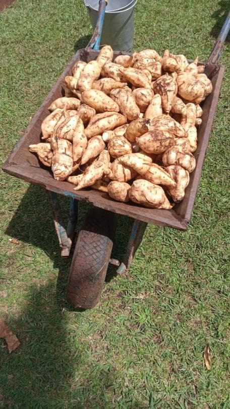 Modern Irrigation Techniques