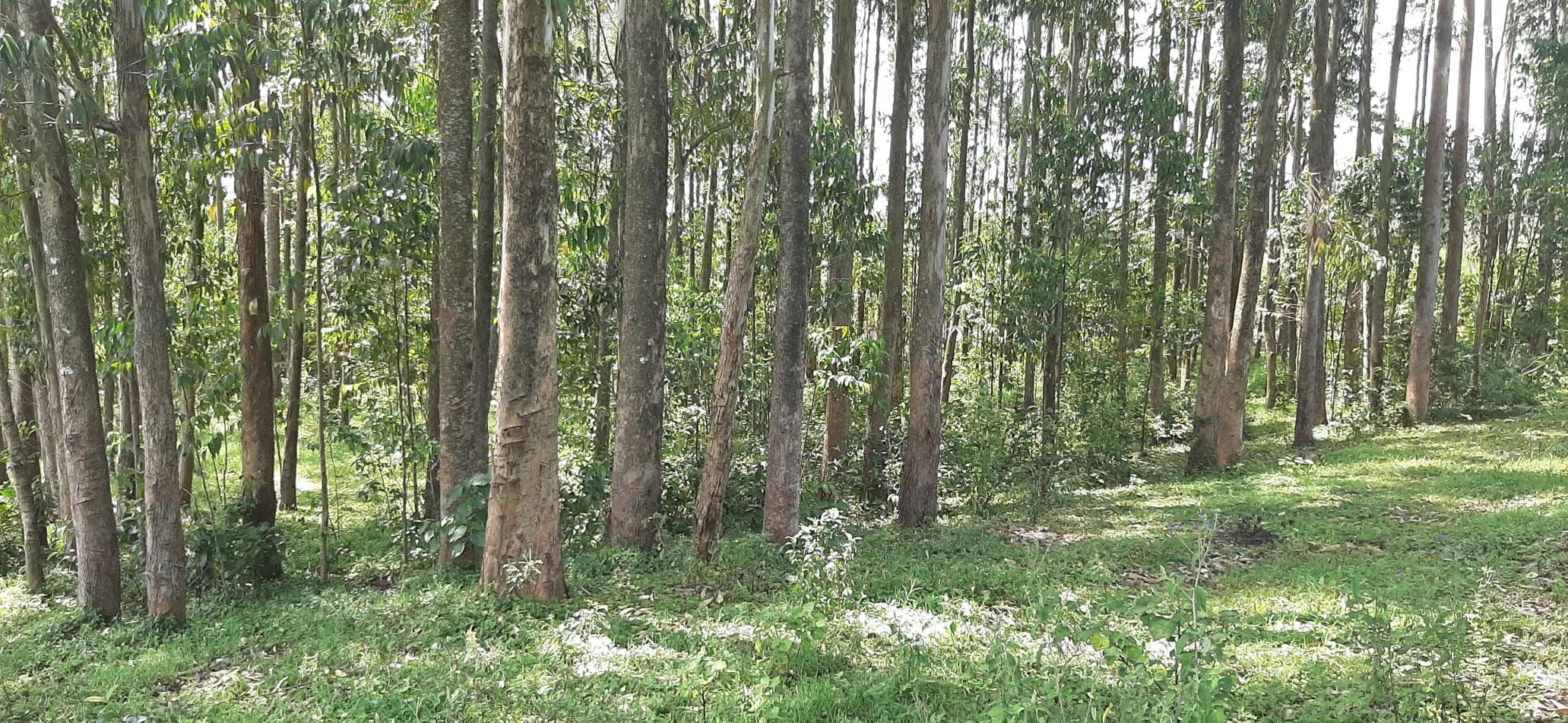 Climate-Smart Agriculture